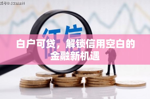 苏尼特右旗白户可贷，解锁信用空白的金融新机遇