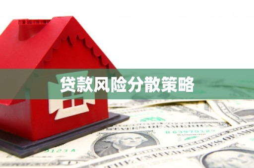 苏尼特右旗贷款风险分散策略