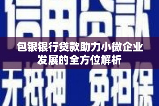 苏尼特右旗包银银行贷款助力小微企业发展的全方位解析