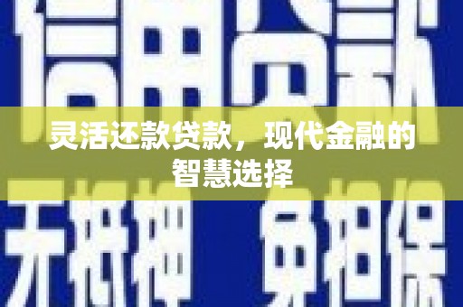 苏尼特右旗灵活还款贷款，现代金融的智慧选择