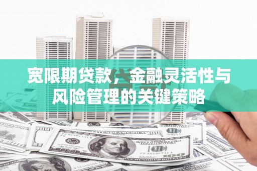 苏尼特右旗宽限期贷款，金融灵活性与风险管理的关键策略