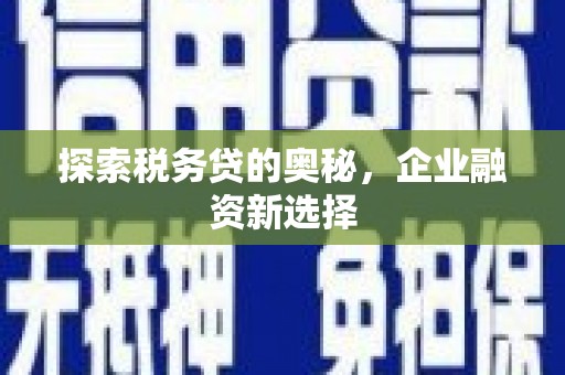 苏尼特右旗探索税务贷的奥秘，企业融资新选择