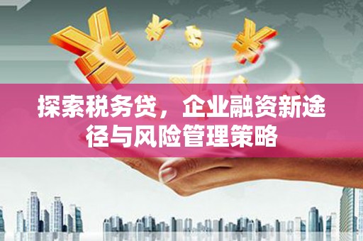 苏尼特右旗探索税务贷，企业融资新途径与风险管理策略