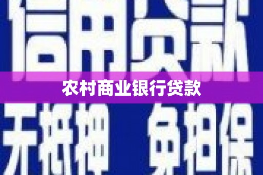 苏尼特右旗农村商业银行贷款