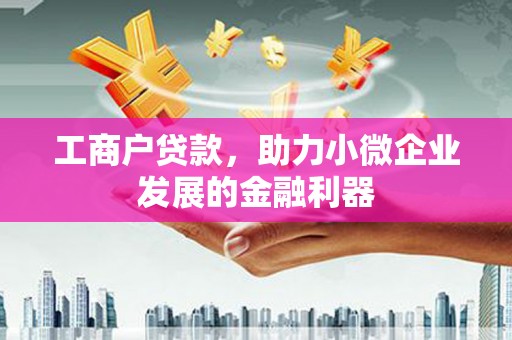 苏尼特右旗工商户贷款，助力小微企业发展的金融利器