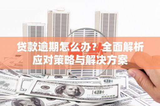 苏尼特右旗贷款逾期怎么办？全面解析应对策略与解决方案
