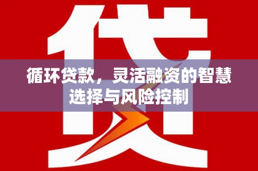 苏尼特右旗循环贷款，灵活融资的智慧选择与风险控制