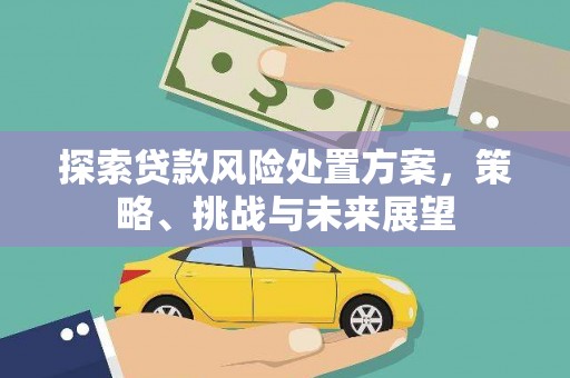 苏尼特右旗探索贷款风险处置方案，策略、挑战与未来展望