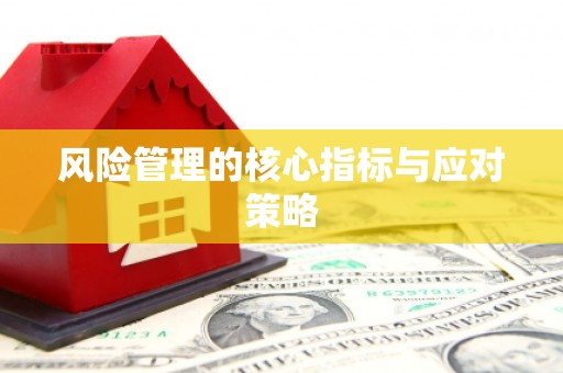 苏尼特右旗风险管理的核心指标与应对策略
