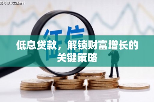 苏尼特右旗低息贷款，解锁财富增长的关键策略