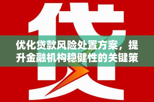 苏尼特右旗优化贷款风险处置方案，提升金融机构稳健性的关键策略