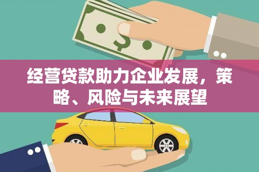 苏尼特右旗经营贷款助力企业发展，策略、风险与未来展望