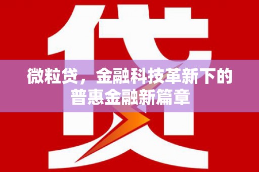 苏尼特右旗微粒贷，金融科技革新下的普惠金融新篇章