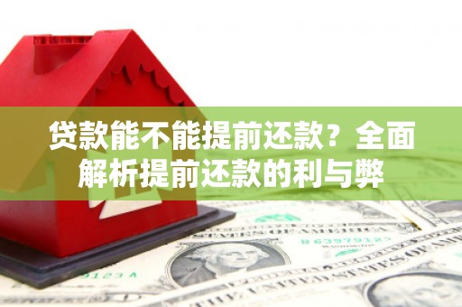 苏尼特右旗贷款能不能提前还款？全面解析提前还款的利与弊