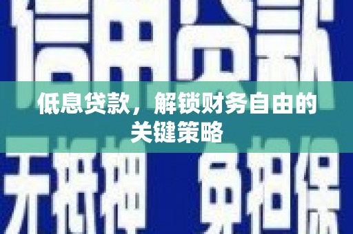 苏尼特右旗低息贷款，解锁财务自由的关键策略