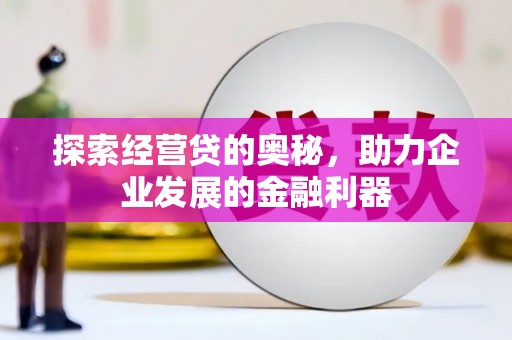苏尼特右旗探索经营贷的奥秘，助力企业发展的金融利器