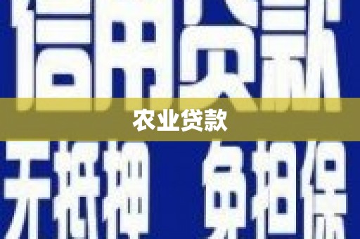 苏尼特右旗农业贷款