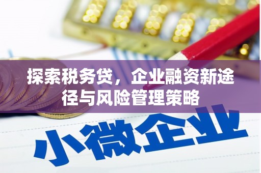 苏尼特右旗探索税务贷，企业融资新途径与风险管理策略