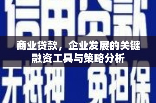 苏尼特右旗商业贷款，企业发展的关键融资工具与策略分析