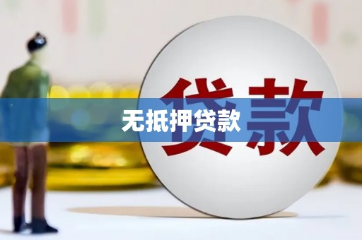 苏尼特右旗无抵押贷款
