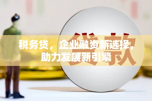 苏尼特右旗税务贷，企业融资新选择，助力发展新引擎