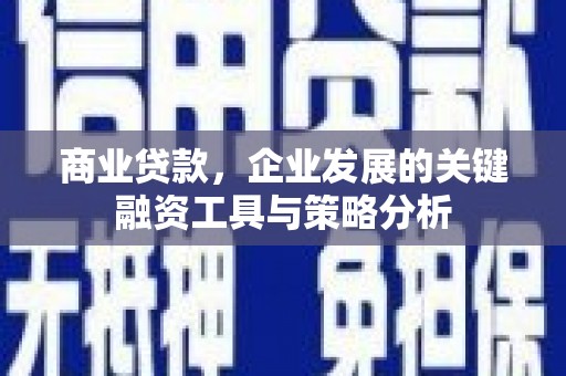 苏尼特右旗商业贷款，企业发展的关键融资工具与策略分析