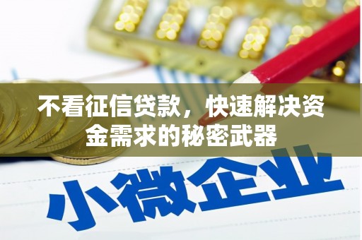 苏尼特右旗不看征信贷款，快速解决资金需求的秘密武器