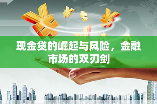 苏尼特右旗现金贷的崛起与风险，金融市场的双刃剑