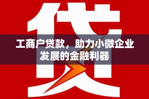 苏尼特右旗工商户贷款，助力小微企业发展的金融利器