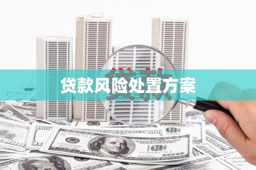 苏尼特右旗贷款风险处置方案