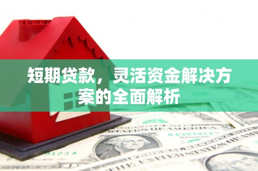 苏尼特右旗短期贷款，灵活资金解决方案的全面解析