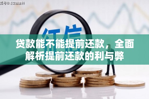 苏尼特右旗贷款能不能提前还款，全面解析提前还款的利与弊