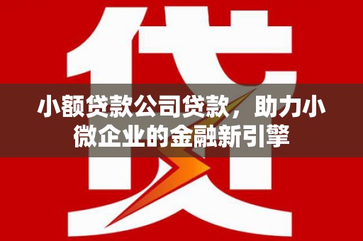 苏尼特右旗小额贷款公司贷款，助力小微企业的金融新引擎
