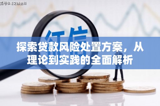 苏尼特右旗探索贷款风险处置方案，从理论到实践的全面解析