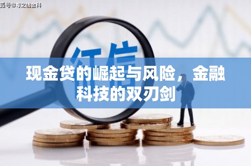 苏尼特右旗现金贷的崛起与风险，金融科技的双刃剑