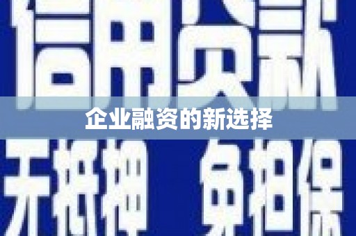 苏尼特右旗企业融资的新选择