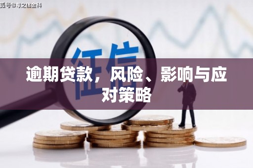 苏尼特右旗逾期贷款，风险、影响与应对策略
