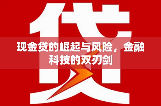 苏尼特右旗现金贷的崛起与风险，金融科技的双刃剑