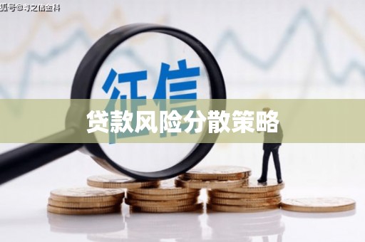 苏尼特右旗贷款风险分散策略