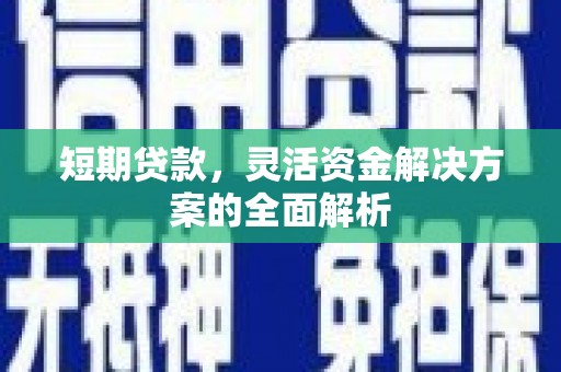 苏尼特右旗短期贷款，灵活资金解决方案的全面解析