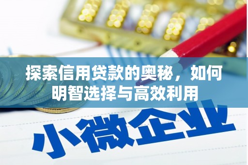 苏尼特右旗探索信用贷款的奥秘，如何明智选择与高效利用