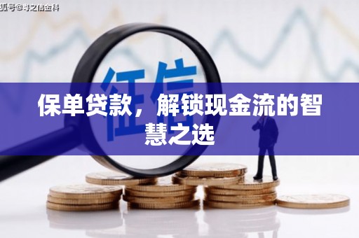 苏尼特右旗保单贷款，解锁现金流的智慧之选