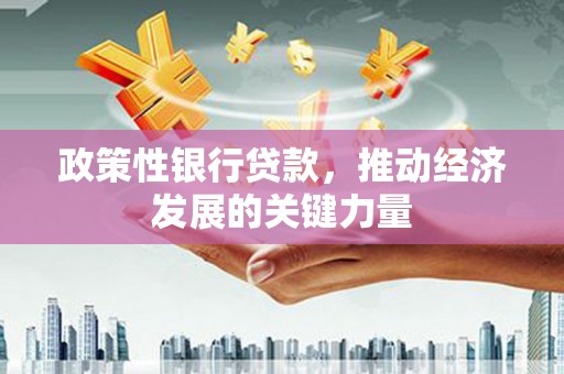 苏尼特右旗政策性银行贷款，推动经济发展的关键力量