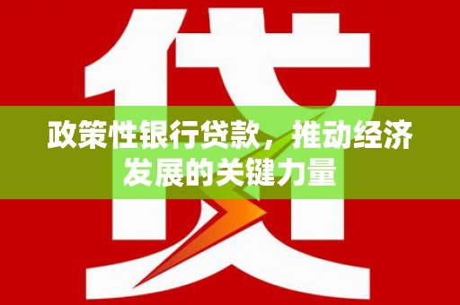 苏尼特右旗政策性银行贷款，推动经济发展的关键力量
