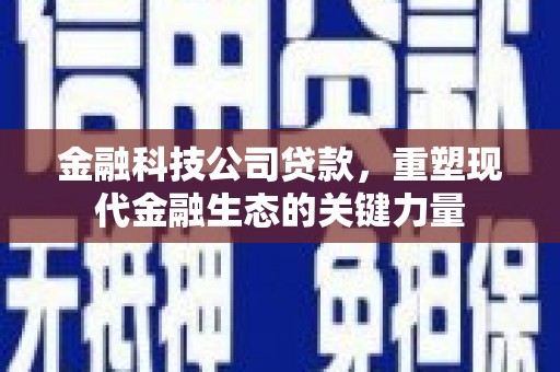 苏尼特右旗金融科技公司贷款，重塑现代金融生态的关键力量