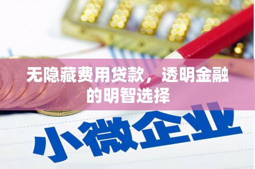 苏尼特右旗无隐藏费用贷款，透明金融的明智选择