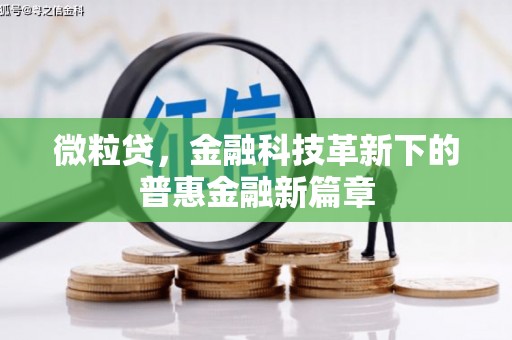 苏尼特右旗微粒贷，金融科技革新下的普惠金融新篇章
