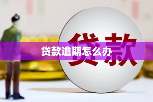 苏尼特右旗贷款逾期怎么办