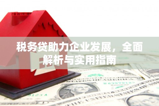 苏尼特右旗税务贷助力企业发展，全面解析与实用指南