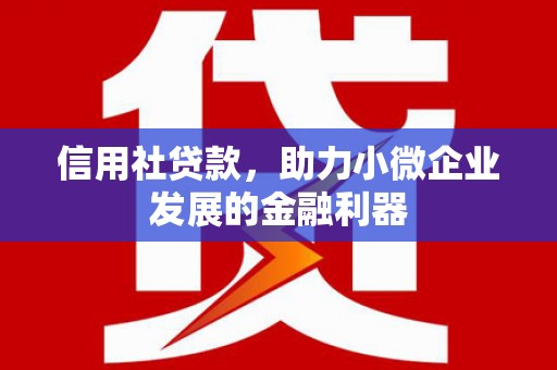 苏尼特右旗信用社贷款，助力小微企业发展的金融利器